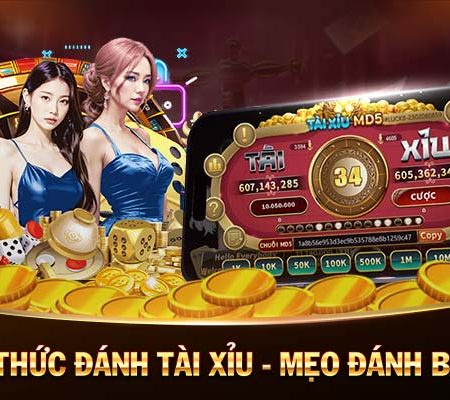 Hướng dẫn cách chơi Trác Kim Hoa cho người mới 2838bet.com